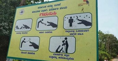 New 'do not feed' signs by river after locals keep getting eaten by crocodiles