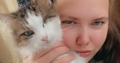 ‘I was told my cat had been in a fight but it had actually been shot with a rifle’