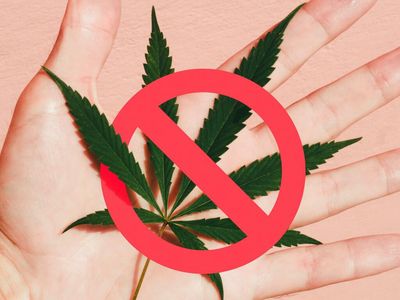 EPA Reminds Employees It's Forbidden To Use Cannabis Or Invest In The Industry As Weed Is Still Federally Illegal