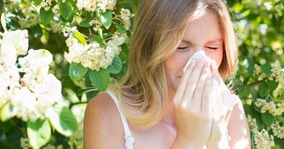 Hay fever symptoms: 6 warning signs you should NOT ignore - including food allergies