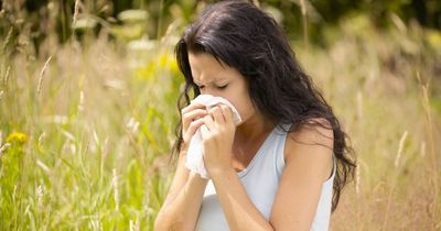 Hay fever comes in three strains with symptoms - find out what you're allergic to