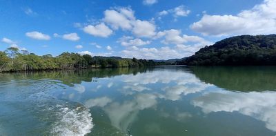 South Africa's estuaries face a growing threat from pollution: we took a close look at four