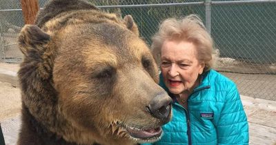 Betty White's beloved bear Bam Bam dies months after legendary actress passed away