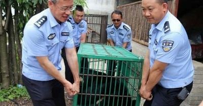 Mum gobsmacked after adopted 'puppy' turns out to be dangerous endangered animal