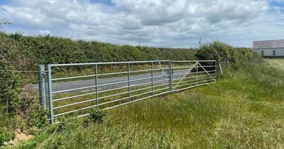 The gate in Gower that led to a massive planning row