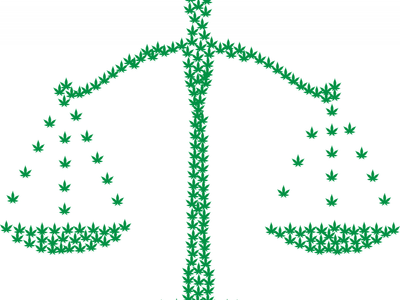 Medical Marijuana Enrollment At All Time High And Chronic Pain Is The Reason, Here's How We Know