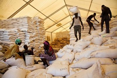 World Food Programme suspends some food aid in South Sudan as funds dry up