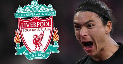 Darwin Nunez £85m transfer confirmed as Liverpool wages, contract clauses and fee explained