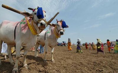 Andhra Pradesh: Leaders urge Centre to bail out debt-ridden farmers at SKM meet