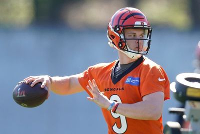 Bengals quarterback Joe Burrow calls for laws to limit access to ‘those crazy guns that everybody’s using’