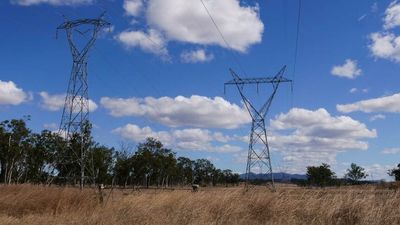 Power outages would push food prices higher from paddock to plate, farmers say