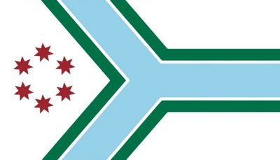 Cook County’s new flag is revealed