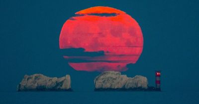 Incredible images show 'Strawberry Moon' light up the night sky across the UK