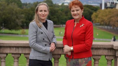 One Nation MP Sarah Game backs push for ban on public display of swastika in South Australia
