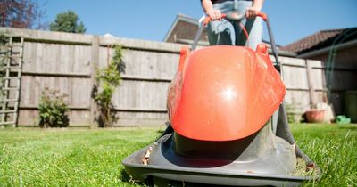 Expert says best time to water your garden in a heatwave and other gardening hot weather tips