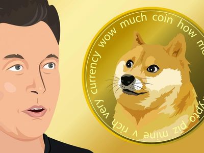 Elon Musk's First Reaction To Latest Crypto Bloodbath Is Here