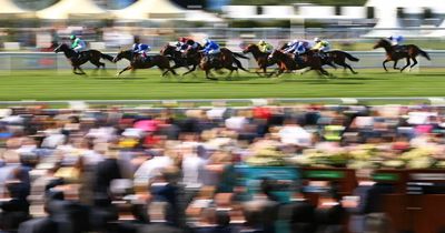 Royal Ascot day 2 full race card and tips - list of runners Wednesday