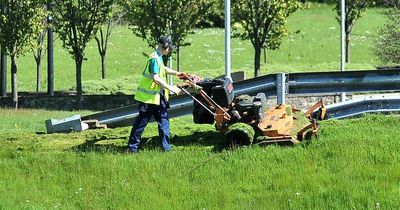 Environmentalists urge West Dunbartonshire Council not to increase grass cutting