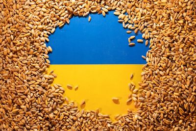Ukraine says 2.4 million hectares of winter crops won't be harvested because of war