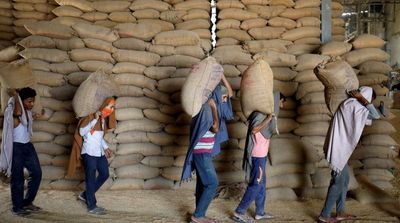 UAE to Suspend Exports of Indian Wheat for Four Months