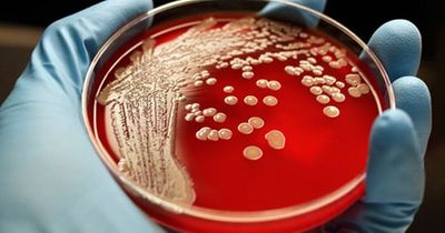 NHS patients to get new drugs to tackle rise of superbugs