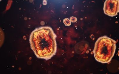 WHO may declare monkeypox an international emergency