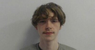 Teen with 'obsession' for weapons sent sick message after horrifying stabbing of boy
