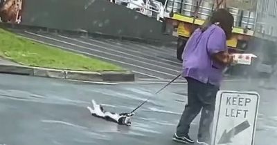 Woman drags helpless cat on leash outside KFC as onlookers laugh in vile footage