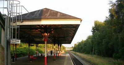 Girl, 16, stamped on and dragged across platform by her hair in brutal attack at train station