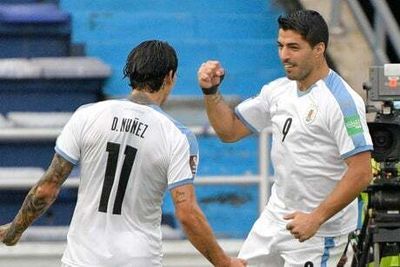 Darwin Nunez reveals Luis Suarez plan after £85m Liverpool transfer sealed