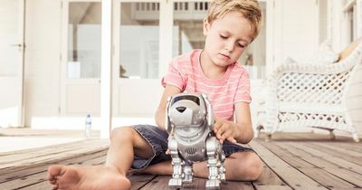 Humans love robots more than animals and it needs to change, expert argues