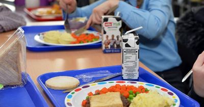 Tories announce rise in infant free school meals funding - of just 7p per child