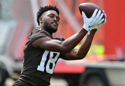 Browns rookie WR David Bell impressing early