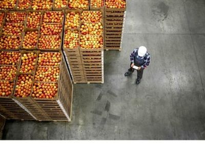 Novozymes, AgroFresh Join Forces To Combat Post-Harvest Waste