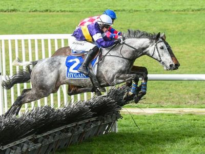 Final vote set to ban jumps racing in SA