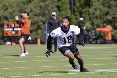 Bengals UDFA WR making some noise at OTAs