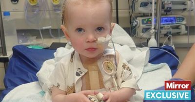 'Four years ago we donated our stillborn daughter's heart - now our new baby needs one'