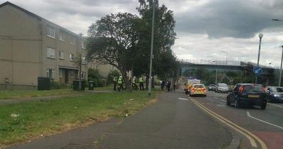 'Massive gang fight' breaks out in Edinburgh park as cops swoop on scene