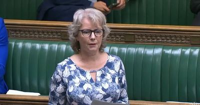 Passport backlog: Karin Smyth MP demands apology for 'chaos'