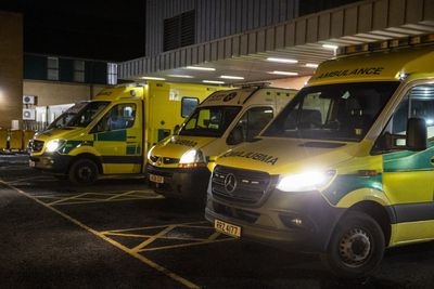 Patients ‘put at risk’ by ambulance handover delays