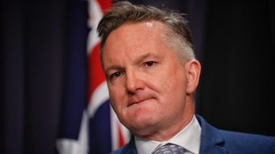 Energy market intervention will last 'as long as it needs to', Chris Bowen says