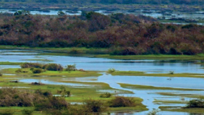20 years after Ramsar stamp, Tamil Nadu gears up to protect Point Calimere
