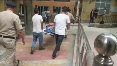 Haryana tourist, pilot die in paraglider crash in Kullu