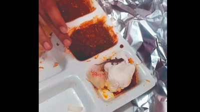 Lizard in choley bhature: Chandigarh administration to file case, eatery may face fine