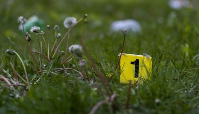 Man, 19, shot to death in Little Village