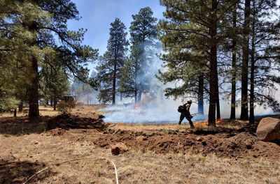 Summer rainy season sets up across Four Corners region