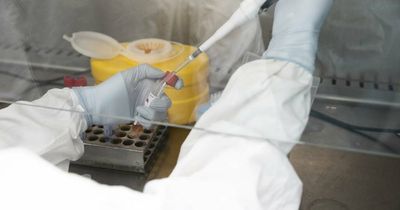 New cases pass 1000 for first time in a month, hospitalisations remain high