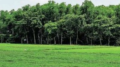 ‘Develop greenery at 31 new STPs’, says Hyderabad Metropolitan Water Supply and Sewerage Board