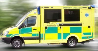 Patients ‘put at risk and some are dying' due to ambulance handover delays