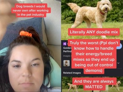 Former pet industry worker warns against adopting these five ‘worst’ dog breeds